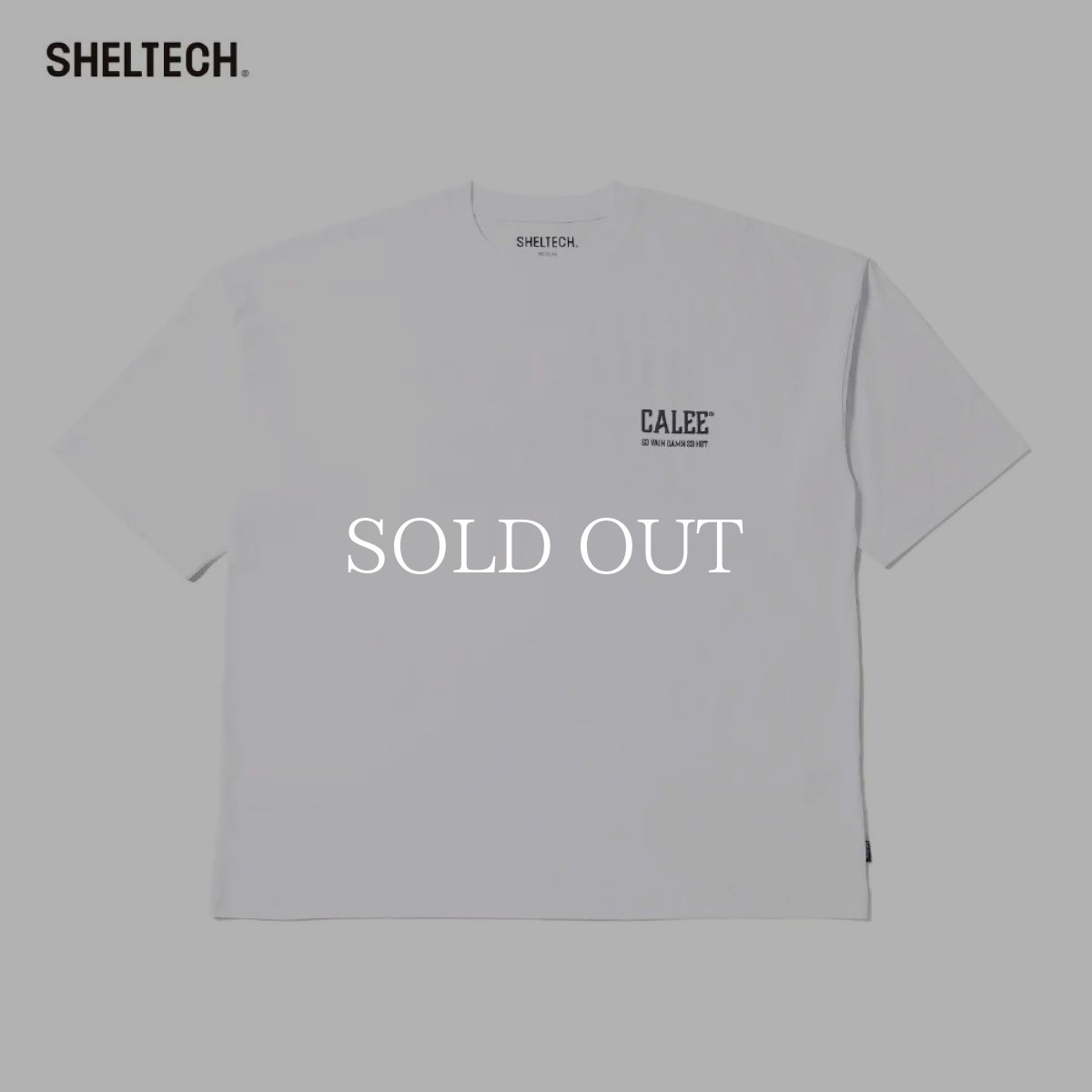 画像6: CALEE  × SHELTECH®︎ CALEE NATIONAL LOGO WIDE TEE (6)