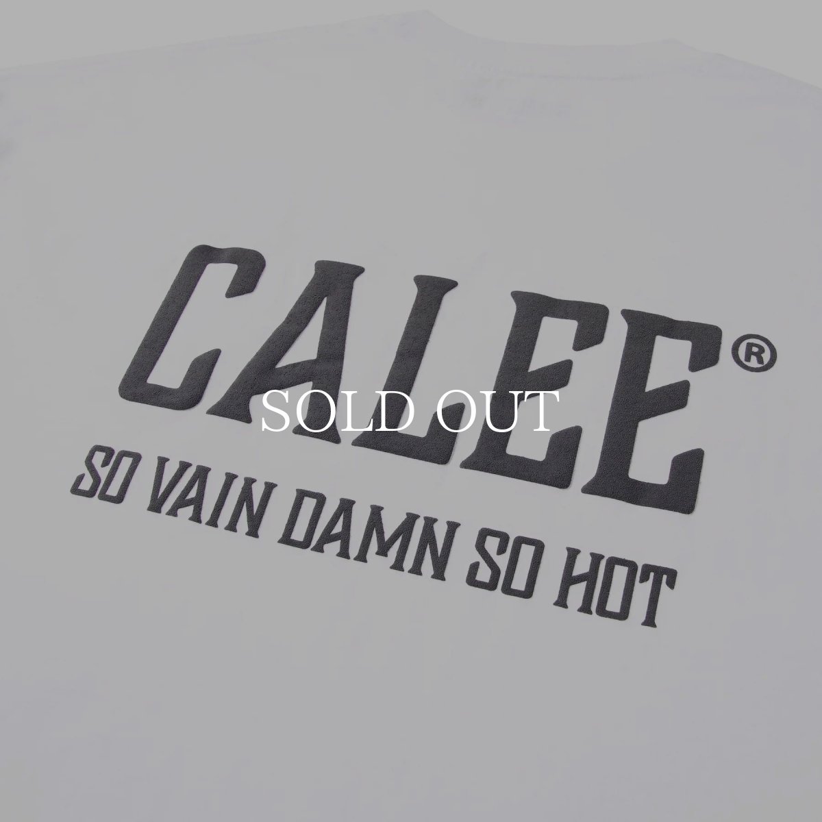 画像10: CALEE  × SHELTECH®︎ CALEE NATIONAL LOGO WIDE TEE (10)