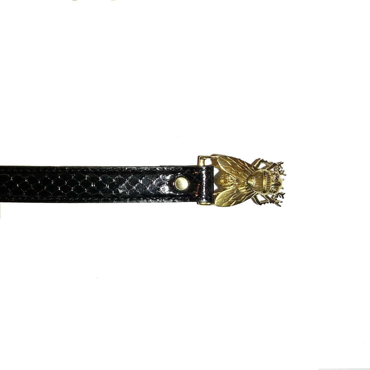 画像2: exodus  FLY PYTHON BELT (2)