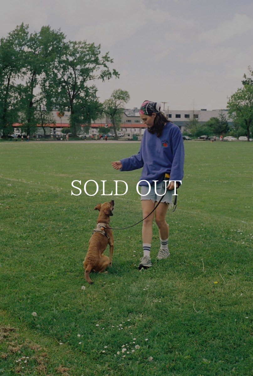 画像12: CHALLENGER  ROSE C/N FLEECE (12)