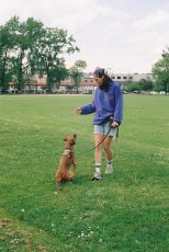 画像12: CHALLENGER  ROSE C/N FLEECE (12)