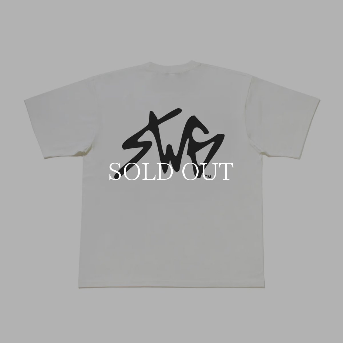 画像1: SWAGGER®  SIGNATURE LOGO T-SHIRT (1)