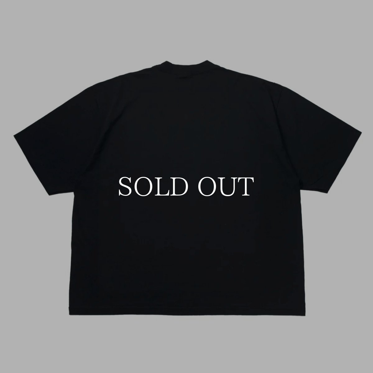 画像2: SWAGGER®  MC OVER SIZE T-SHIRT (2)