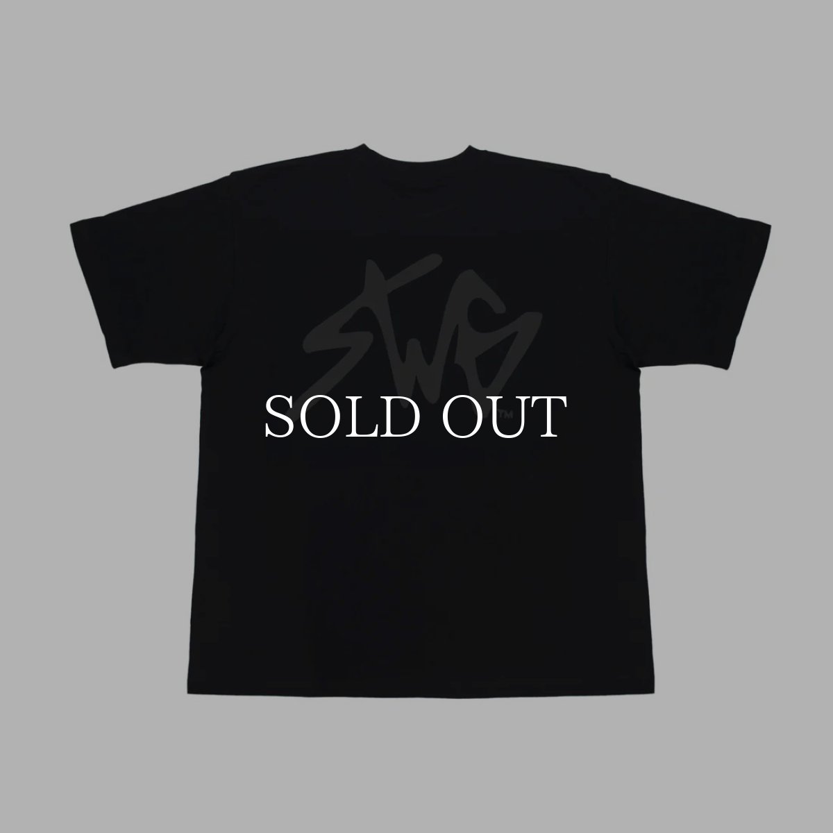 画像4: SWAGGER®  SIGNATURE LOGO T-SHIRT (4)