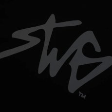 画像6: SWAGGER®  SIGNATURE LOGO T-SHIRT (6)