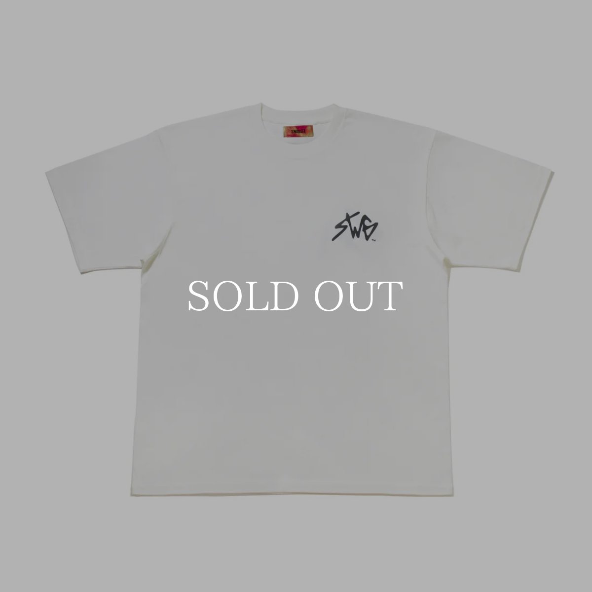 画像2: SWAGGER®  SIGNATURE LOGO T-SHIRT (2)