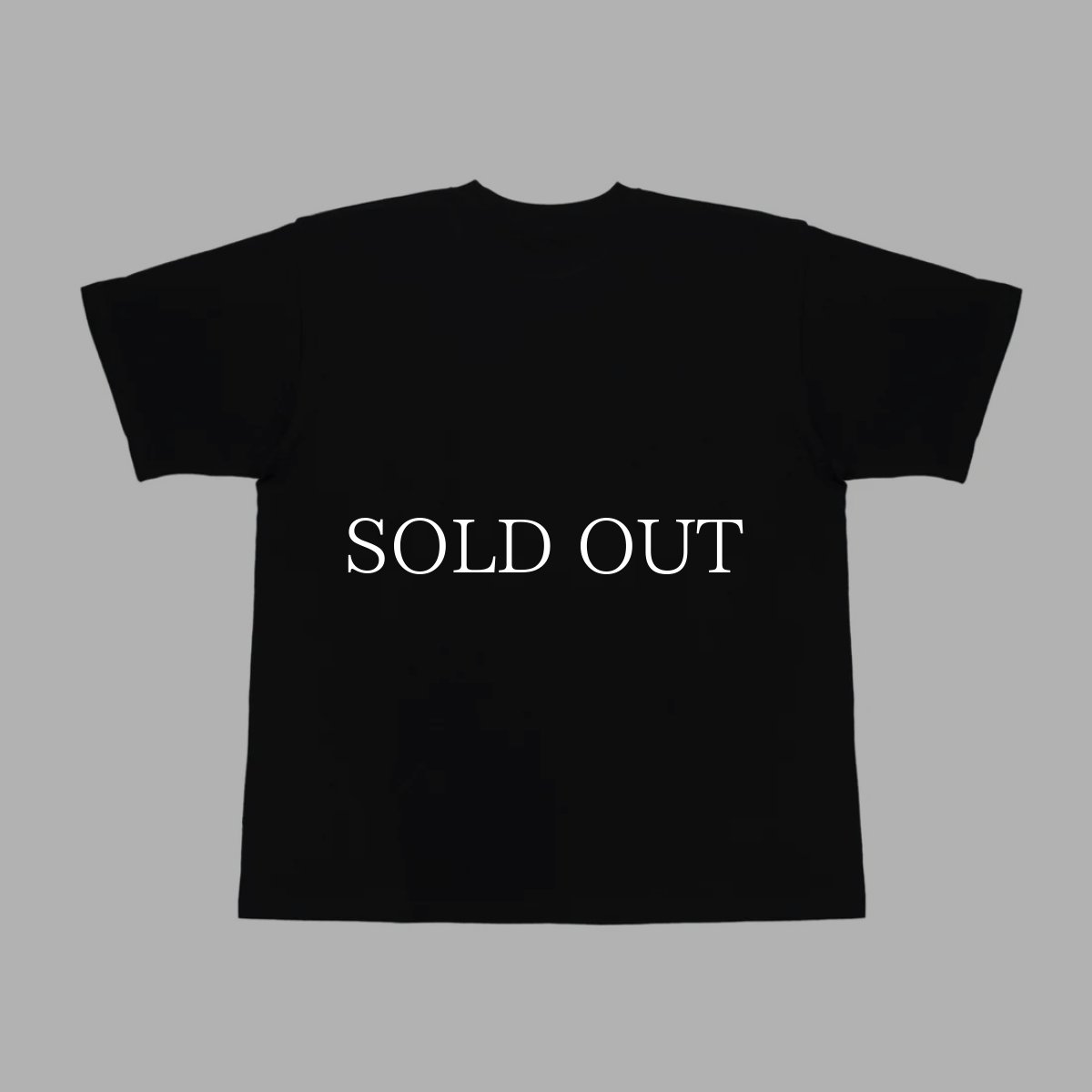 画像5: SWAGGER®  THE HOOD T-SHIRT (5)