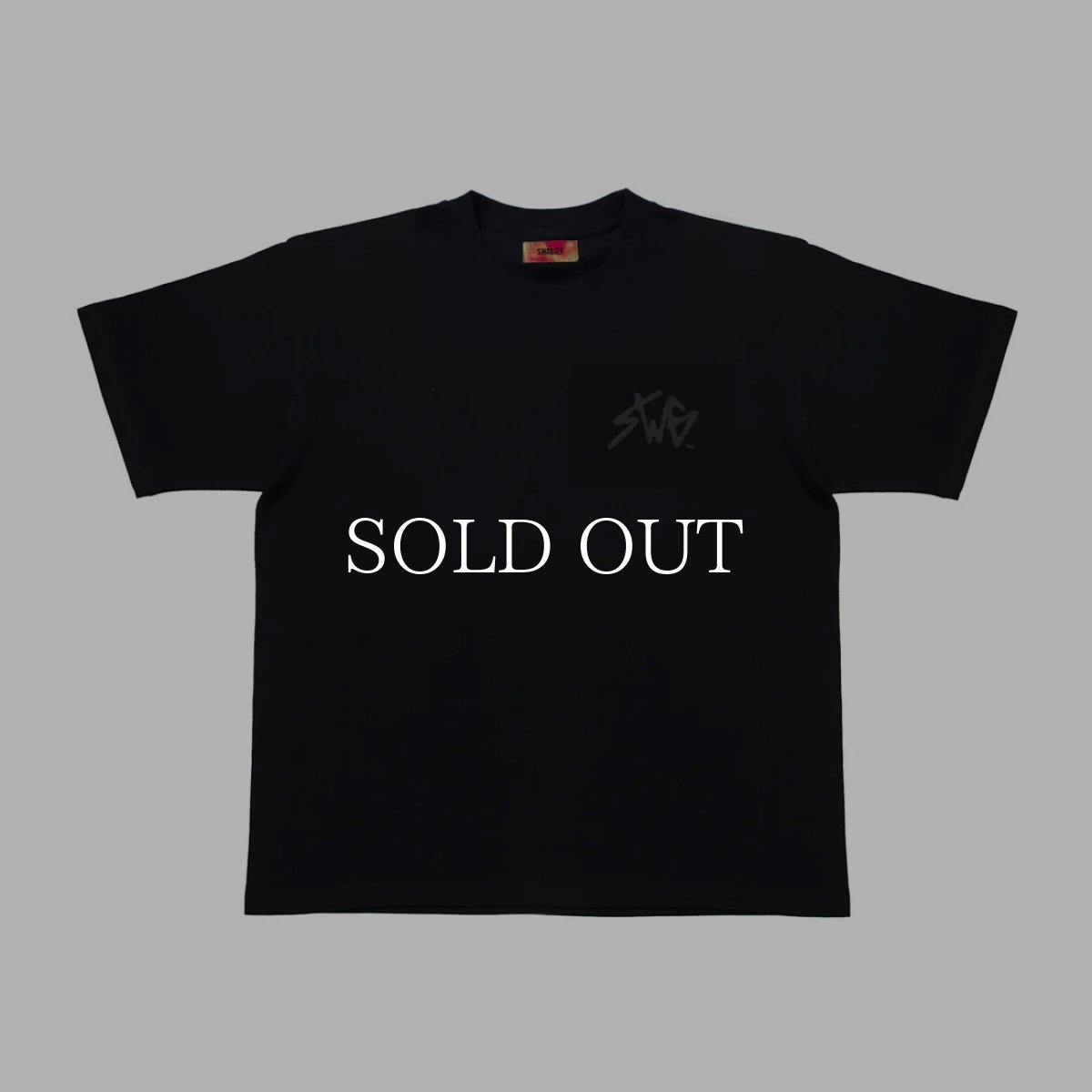 画像5: SWAGGER®  SIGNATURE LOGO T-SHIRT (5)