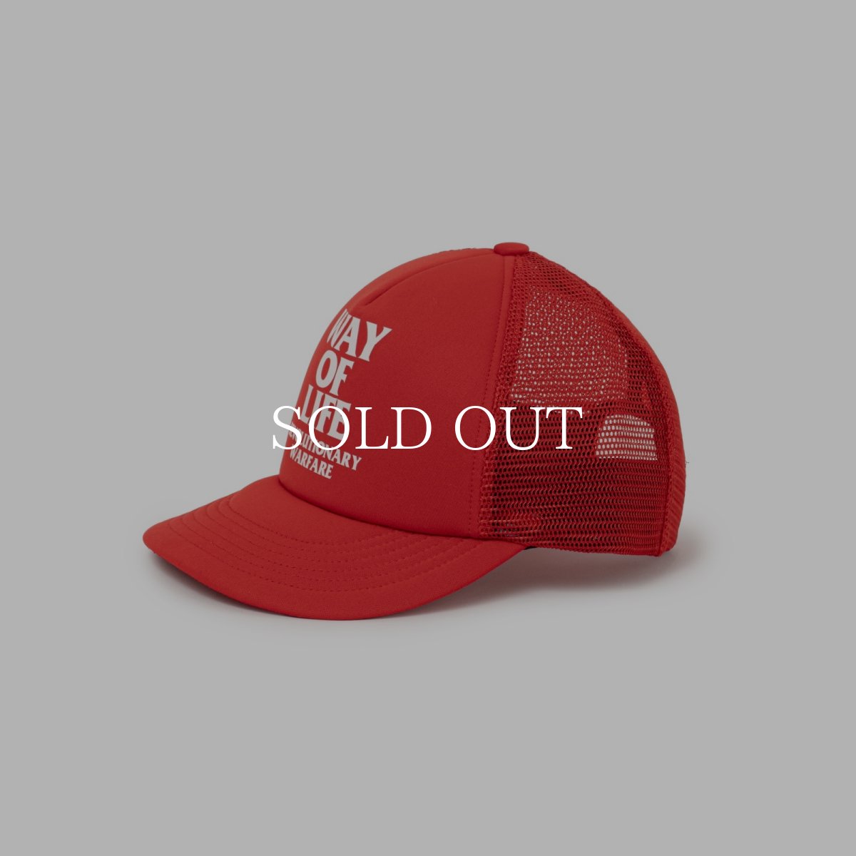 画像3: RATS  MESH CAP "WAY OF LIFE" (3)
