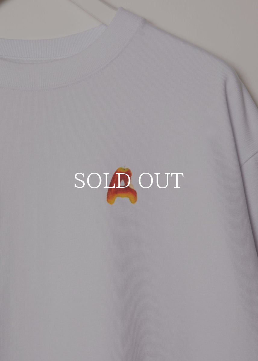 画像3: APPLEBUM  “Alphabet” L/S T-shirt (3)