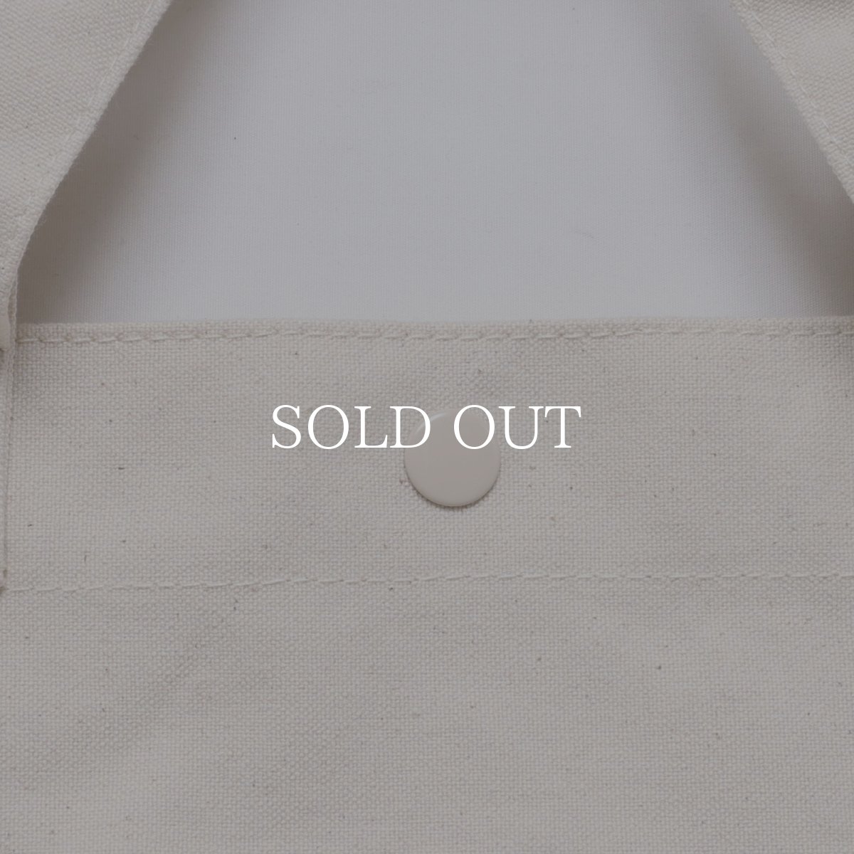 画像5: Liberaiders  PX CANVAS TOOL TOTE BAG (5)