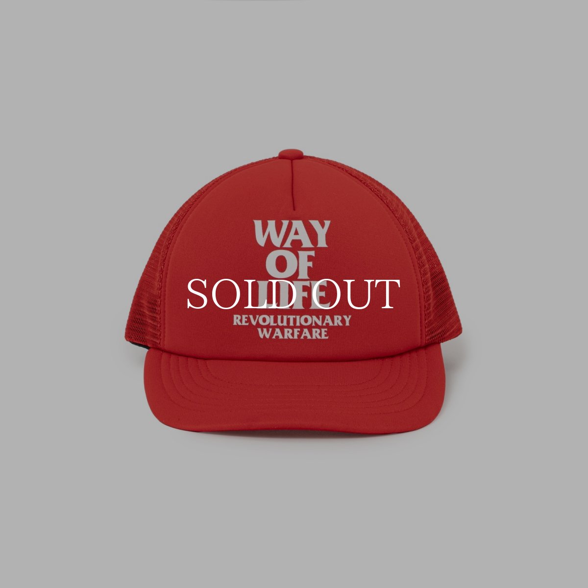 画像2: RATS  MESH CAP "WAY OF LIFE" (2)