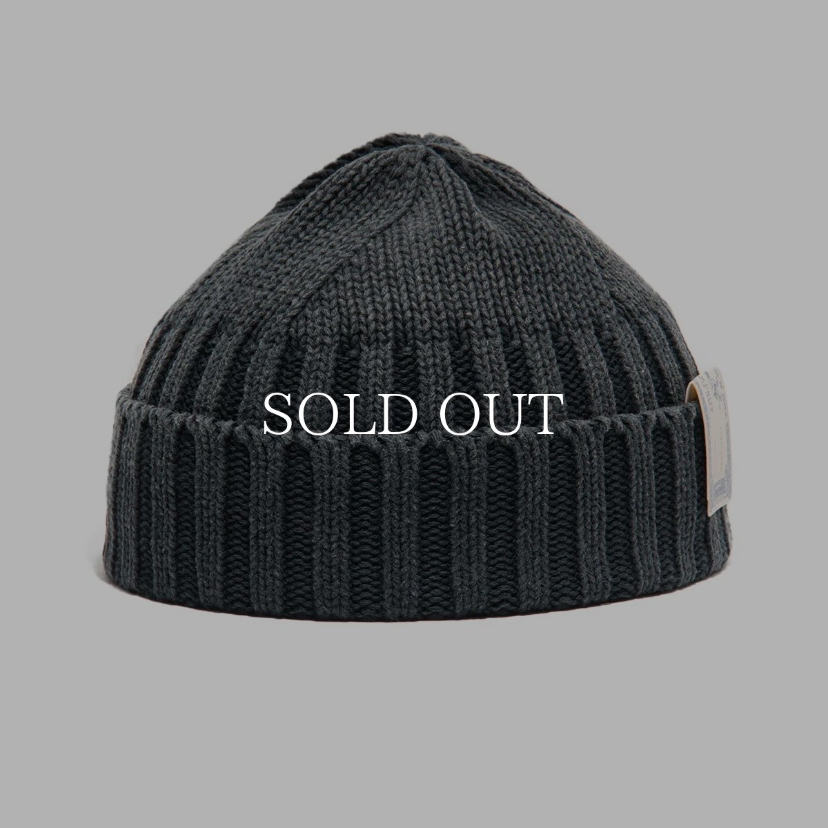 画像1: THE H.W.DOG&CO.  【再入荷】RC WATCH (1)