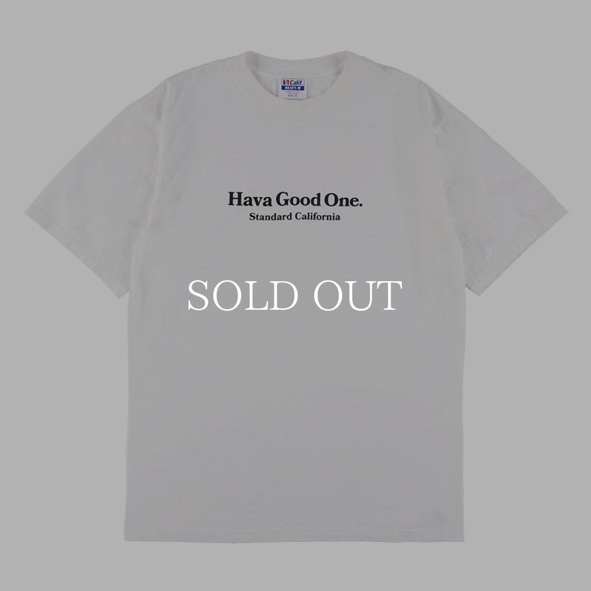 画像3: STANDARD CALIFORNIA  SD Heavyweight Hava Good One T (3)
