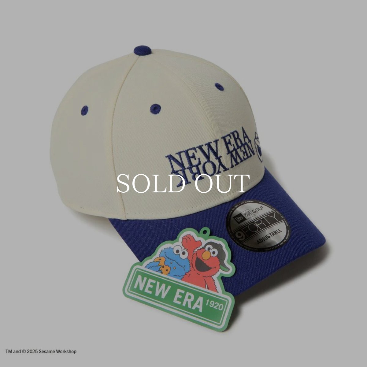 画像5: NEW ERA  9FORTY SESAME STREET セサミストリート Cookie Monster クッキーモンスター クロームホワイト ブルーバイザー | ゴルフ (5)