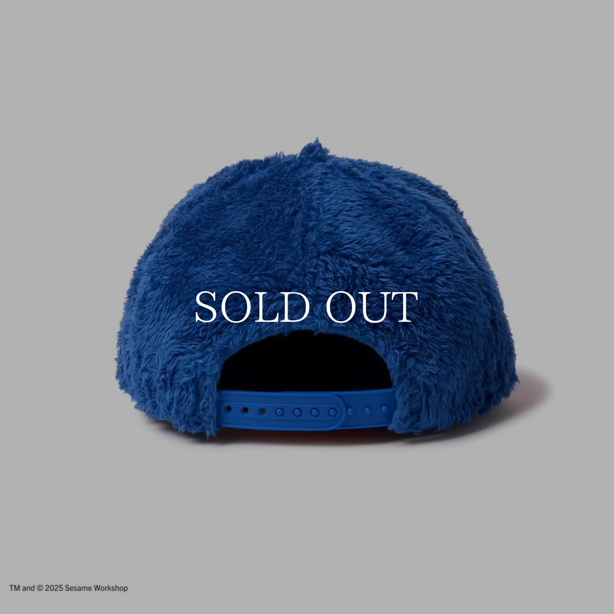 画像3: NEW ERA  9FIFTY SESAME STREET セサミストリート Cookie Monster クッキーモンスター ブルー (3)