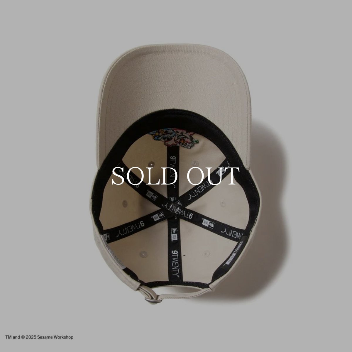画像4: NEW ERA  キッズ Youth 9TWENTY SESAME STREET セサミストリート NEW ERA ストーン (4)