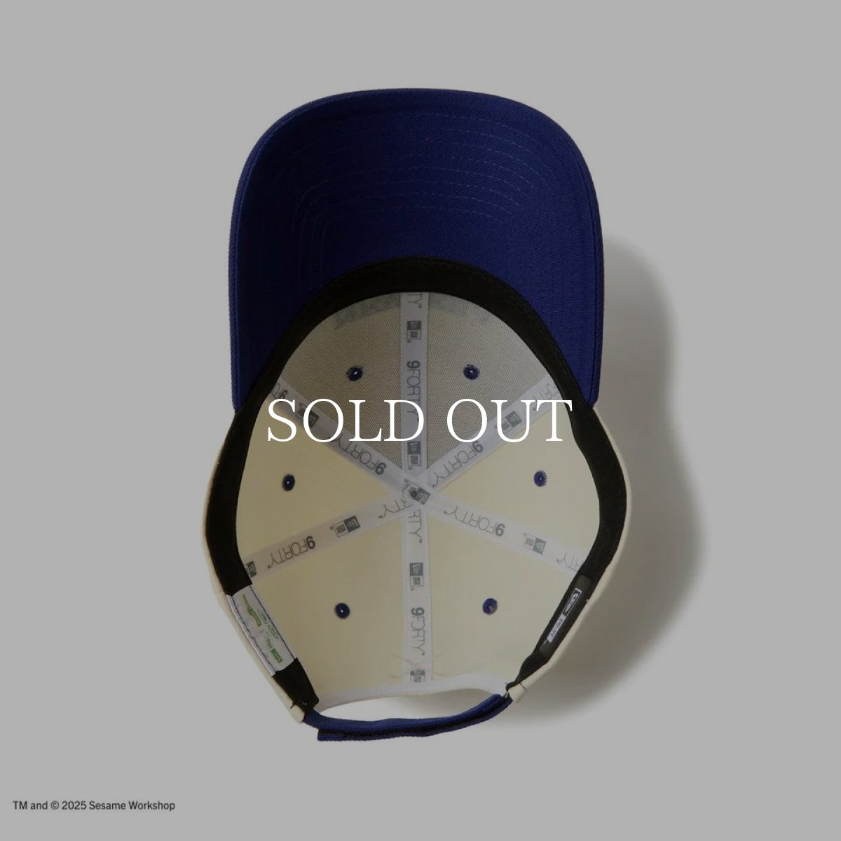 画像4: NEW ERA  9FORTY SESAME STREET セサミストリート Cookie Monster クッキーモンスター クロームホワイト ブルーバイザー | ゴルフ (4)