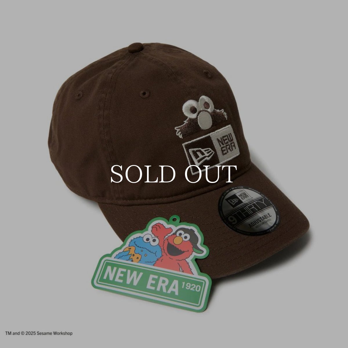 画像5: NEW ERA  9THIRTY SESAME STREET セサミストリート ボックスロゴ Elmo エルモ ウォルナット (5)