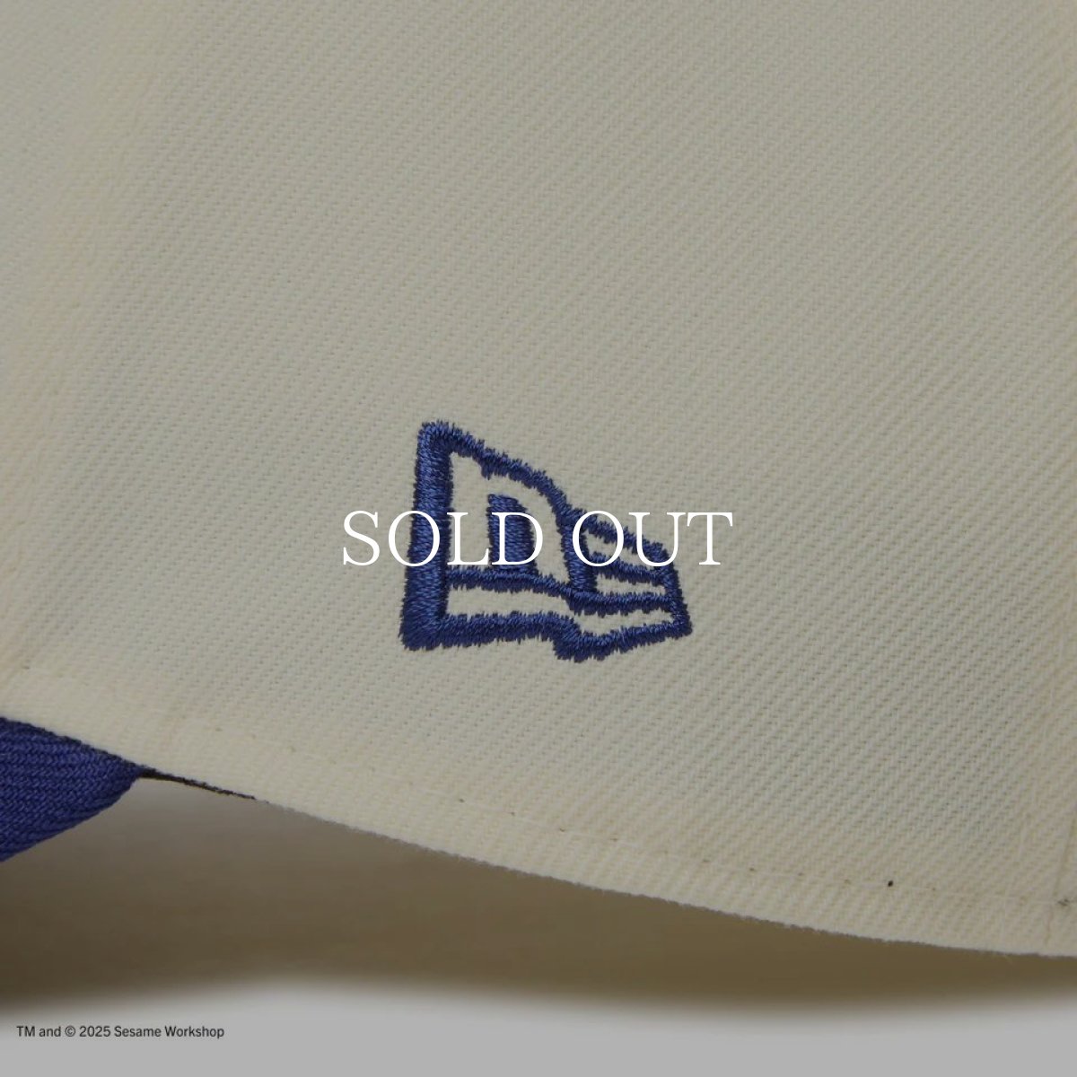 画像7: NEW ERA  9FORTY SESAME STREET セサミストリート Cookie Monster クッキーモンスター クロームホワイト ブルーバイザー | ゴルフ (7)