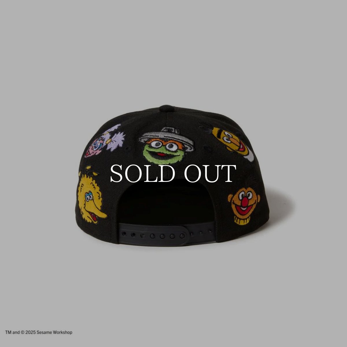 画像5: NEW ERA  キッズ Youth 9FIFTY SESAME STREET セサミストリート オールオーバー ブラック (5)