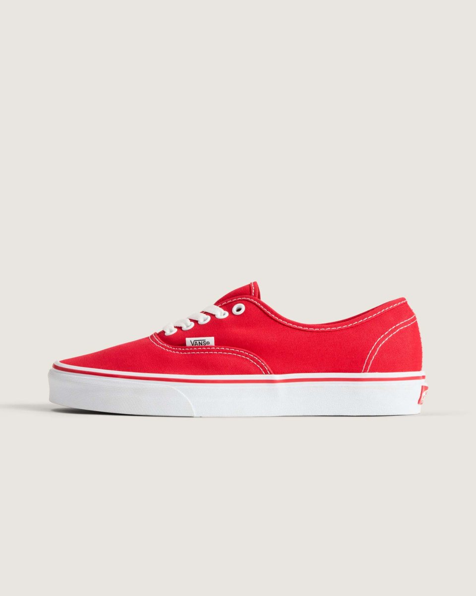 画像1: VANS  Authentic (1)