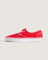 画像1: VANS  Authentic (1)