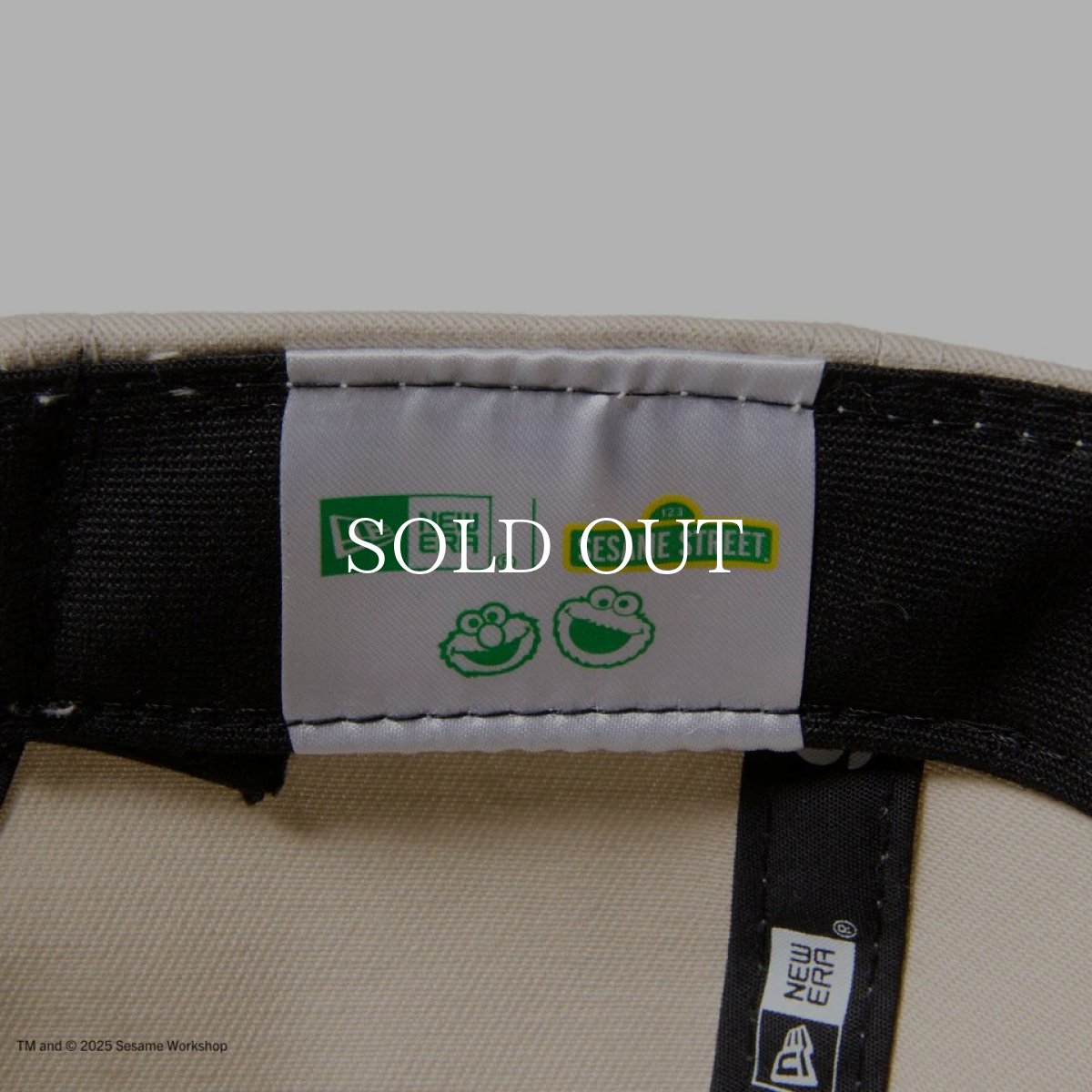 画像9: NEW ERA  キッズ Youth 9TWENTY SESAME STREET セサミストリート NEW ERA ストーン (9)