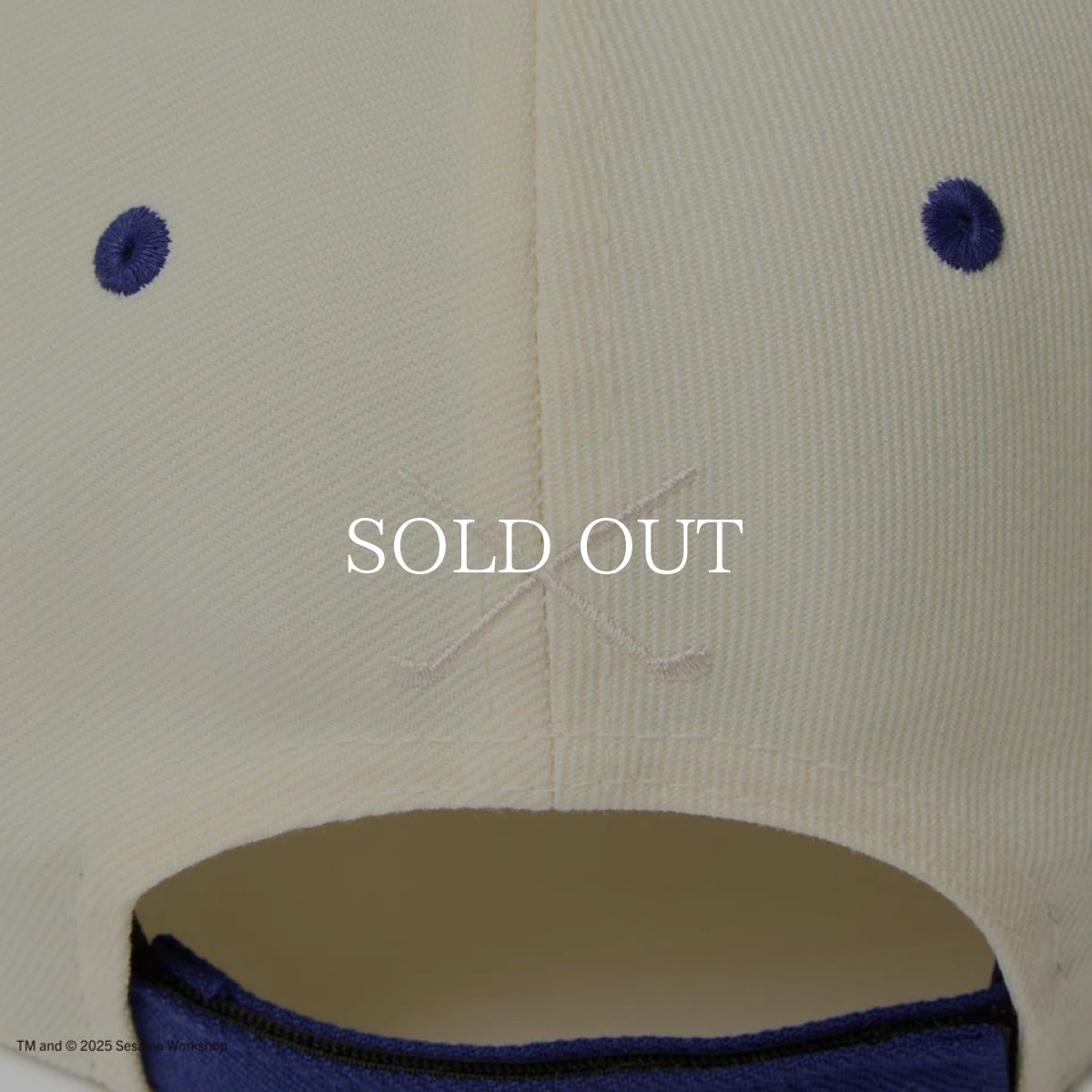 画像8: NEW ERA  9FORTY SESAME STREET セサミストリート Cookie Monster クッキーモンスター クロームホワイト ブルーバイザー | ゴルフ (8)