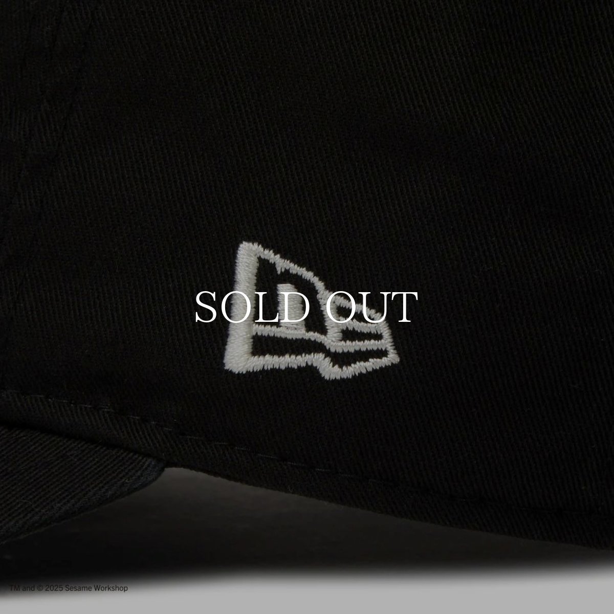 画像7: NEW ERA  9THIRTY SESAME STREET セサミストリート ボックスロゴ Elmo エルモ ブラック (7)