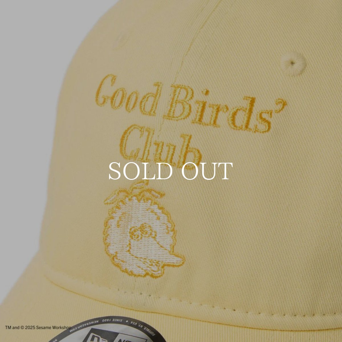 画像6: NEW ERA  9TWENTY SESAME STREET セサミストリート Good Birds’ Club Big Bird ビッグバード ベビーイエロー (6)