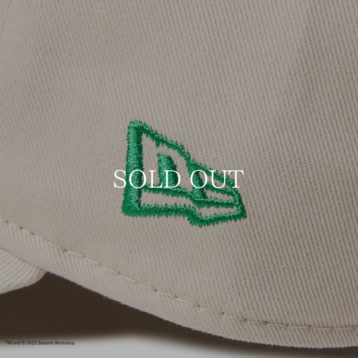 画像7: NEW ERA  キッズ Youth 9TWENTY SESAME STREET セサミストリート NEW ERA ストーン (7)