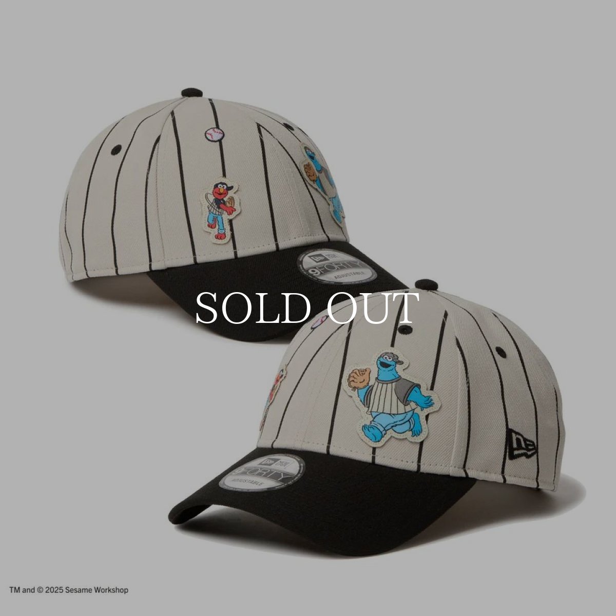 画像1: NEW ERA  9FORTY SESAME STREET セサミストリート ベースボール ストーン ブラックバイザー (1)