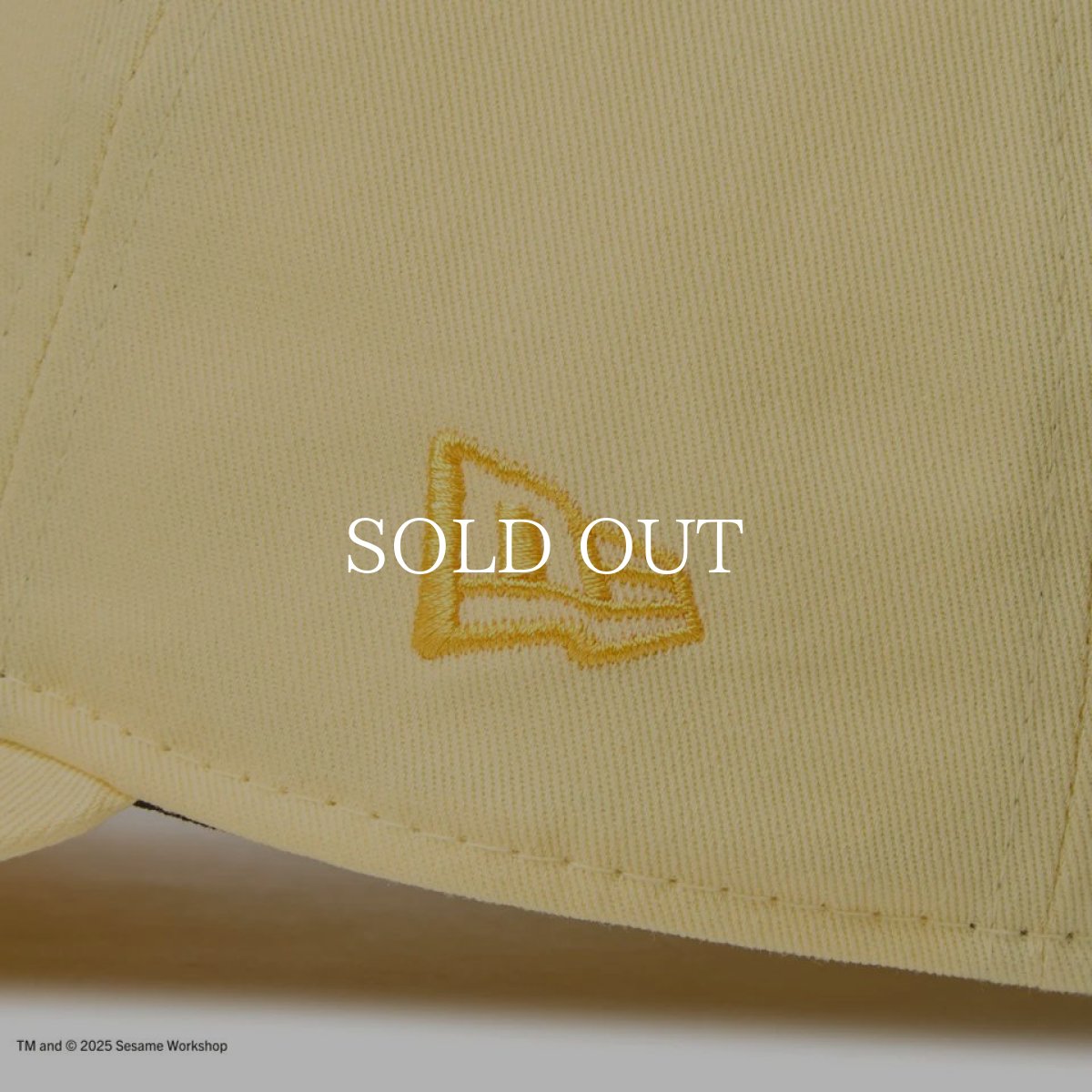 画像7: NEW ERA  9TWENTY SESAME STREET セサミストリート Good Birds’ Club Big Bird ビッグバード ベビーイエロー (7)