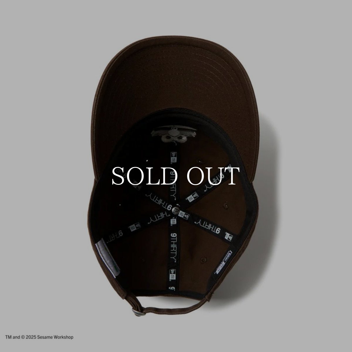 画像4: NEW ERA  9THIRTY SESAME STREET セサミストリート ボックスロゴ Elmo エルモ ウォルナット (4)