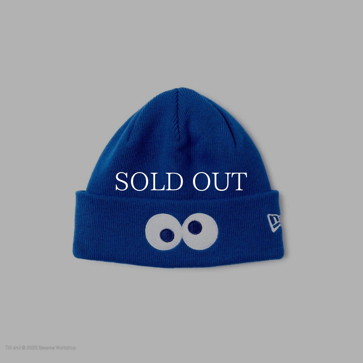 画像1: NEW ERA  キッズ Kid's ベーシック カフニット SESAME STREET セサミストリート Cookie Monster クッキーモンスター ブルー (1)