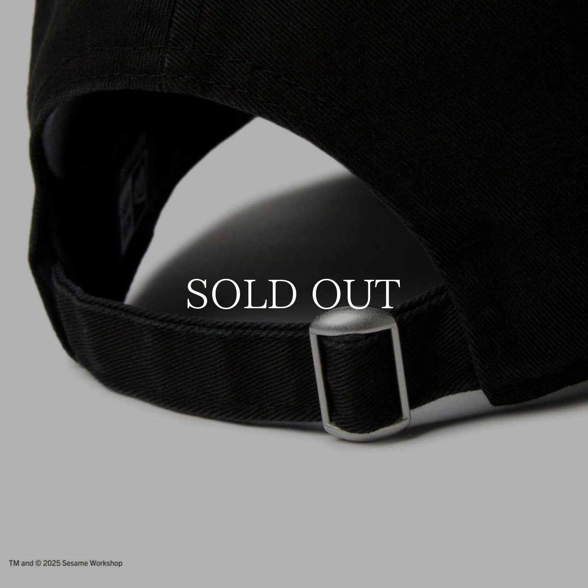 画像8: NEW ERA  9THIRTY SESAME STREET セサミストリート ボックスロゴ Elmo エルモ ブラック (8)