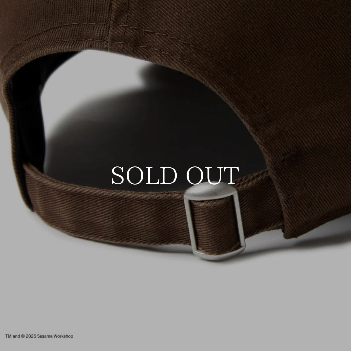 画像8: NEW ERA  9THIRTY SESAME STREET セサミストリート ボックスロゴ Elmo エルモ ウォルナット (8)