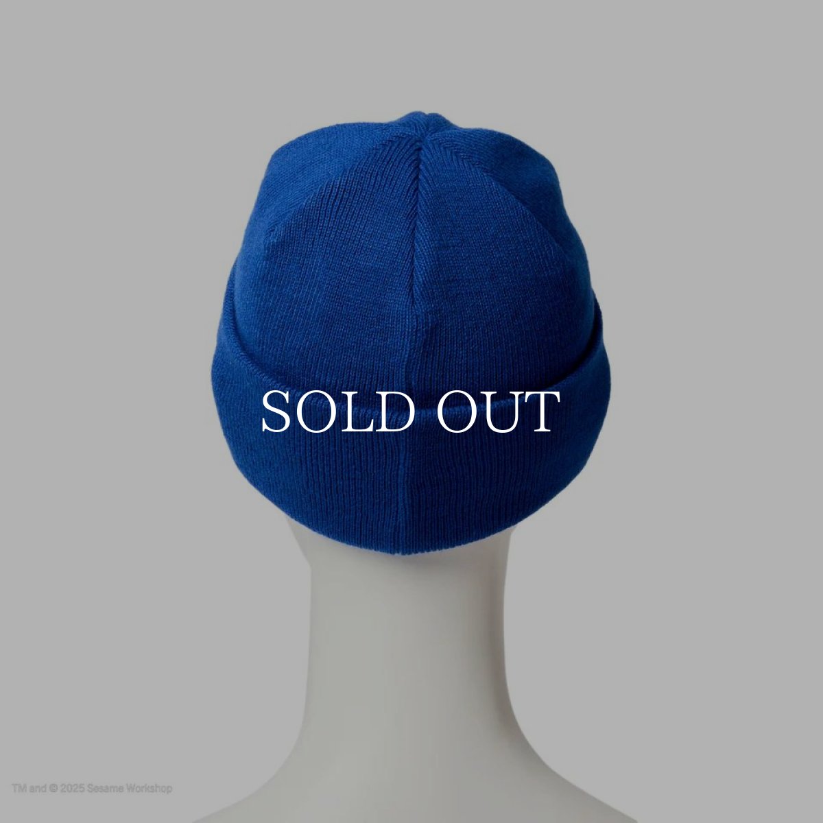 画像6: NEW ERA  キッズ Kid's ベーシック カフニット SESAME STREET セサミストリート Cookie Monster クッキーモンスター ブルー (6)