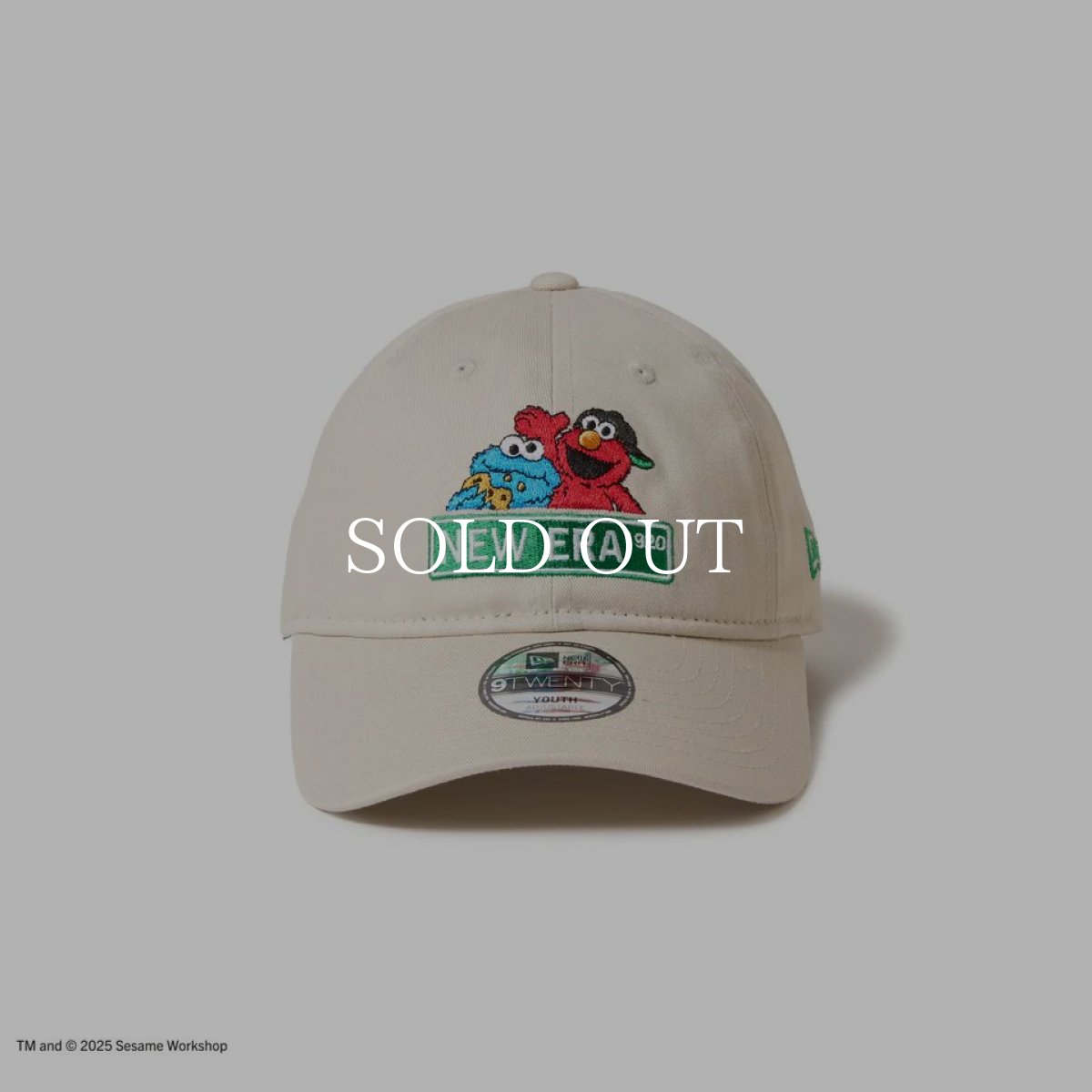 画像2: NEW ERA  キッズ Youth 9TWENTY SESAME STREET セサミストリート NEW ERA ストーン (2)