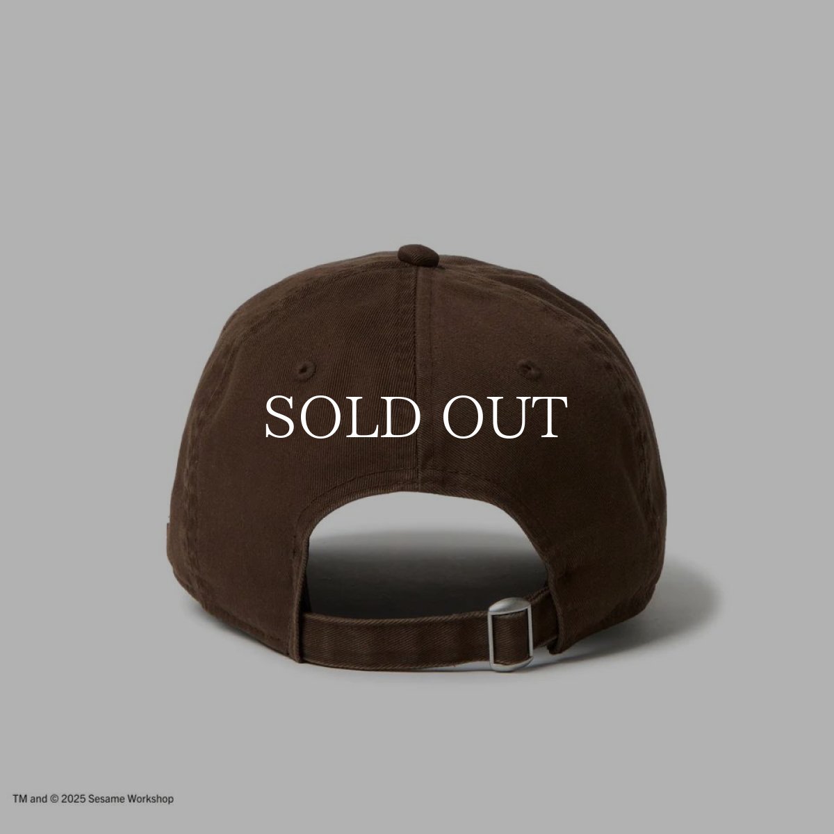 画像3: NEW ERA  9THIRTY SESAME STREET セサミストリート ボックスロゴ Elmo エルモ ウォルナット (3)