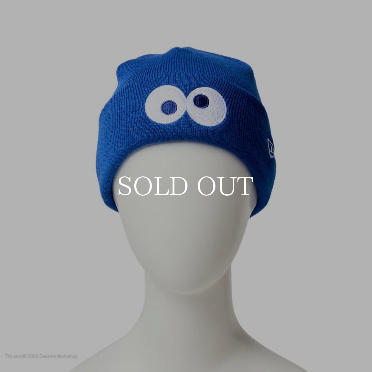 画像4: NEW ERA  キッズ Kid's ベーシック カフニット SESAME STREET セサミストリート Cookie Monster クッキーモンスター ブルー (4)