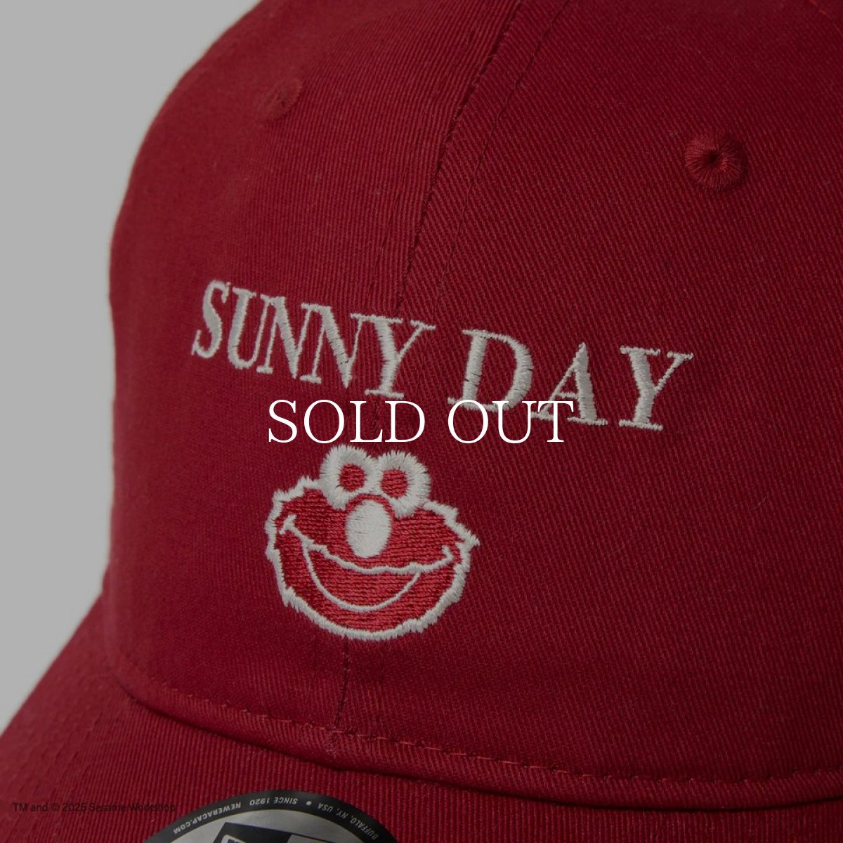 画像6: NEW ERA  9TWENTY SESAME STREET セサミストリート SUNNY DAY Elmo エルモ レッド (6)