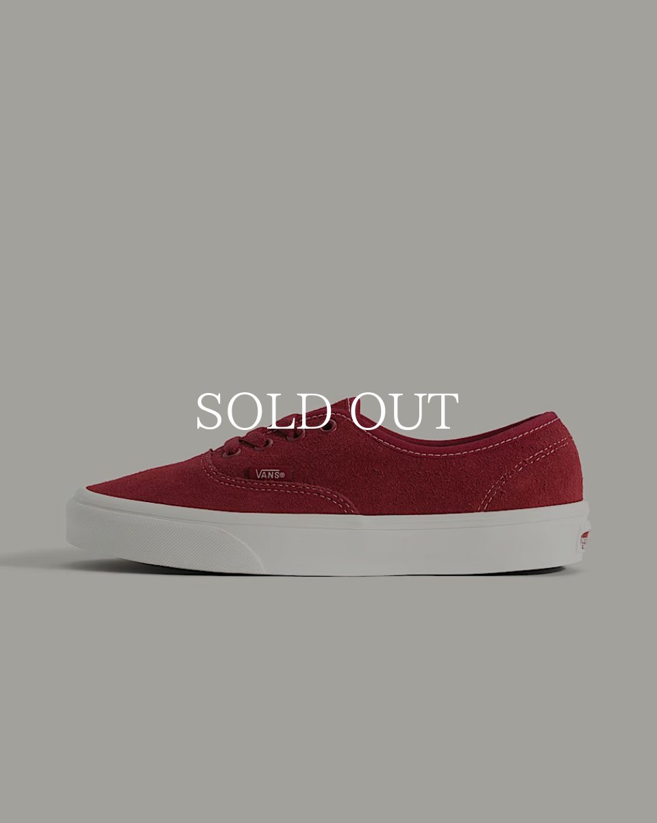 画像1: VANS  Authentic (1)