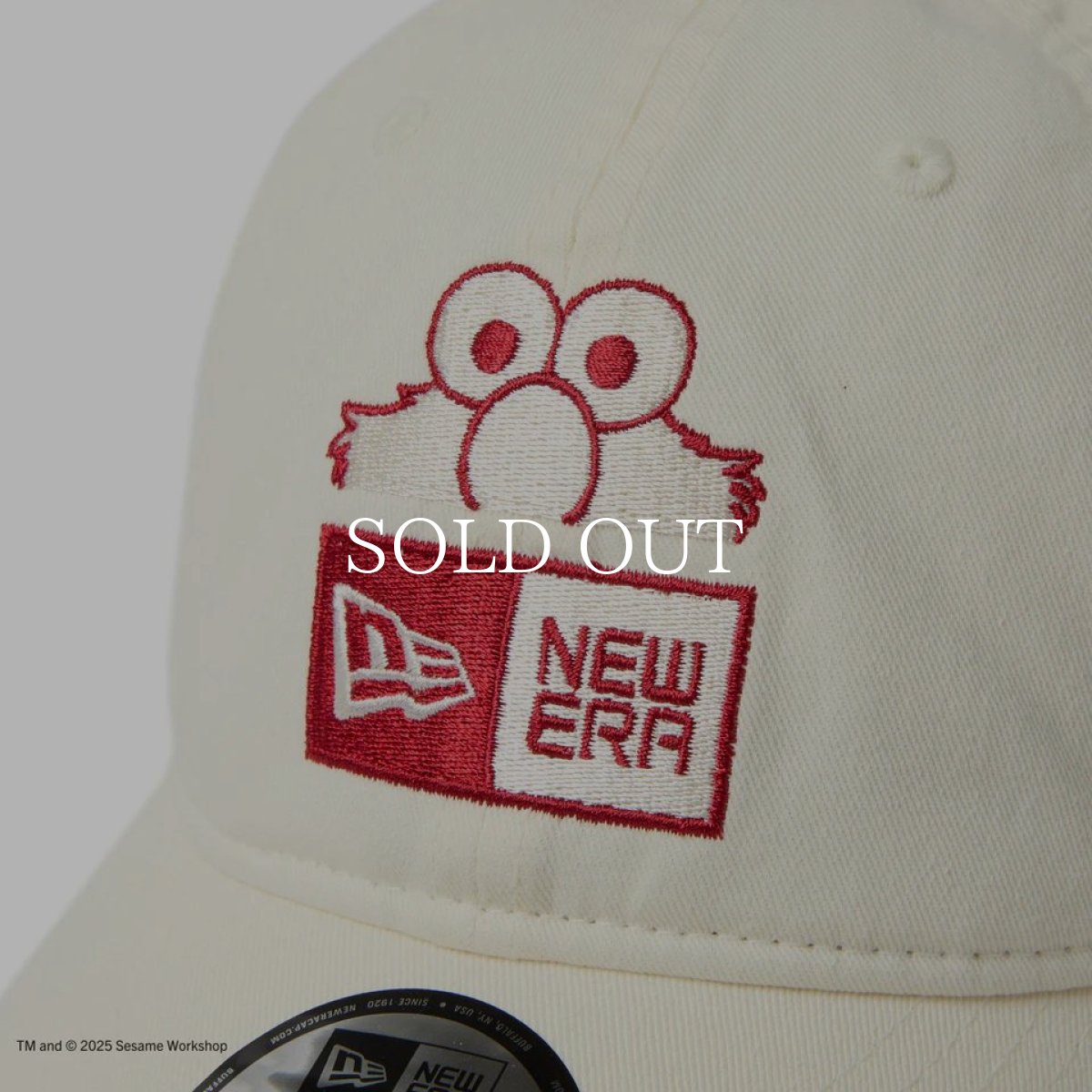 画像6: NEW ERA  9THIRTY SESAME STREET セサミストリート ボックスロゴ Elmo エルモ ストーン (6)