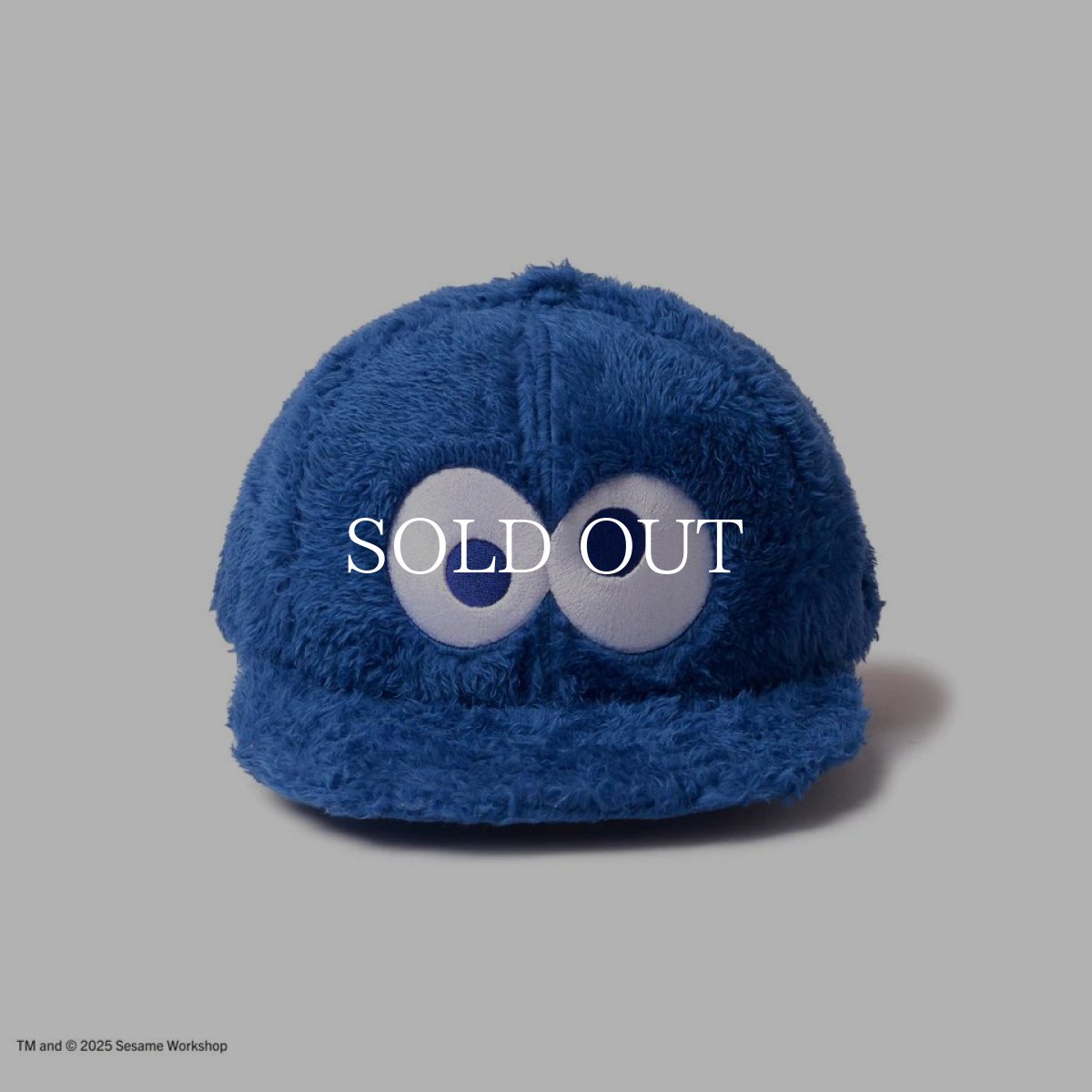 画像2: NEW ERA  9FIFTY SESAME STREET セサミストリート Cookie Monster クッキーモンスター ブルー (2)