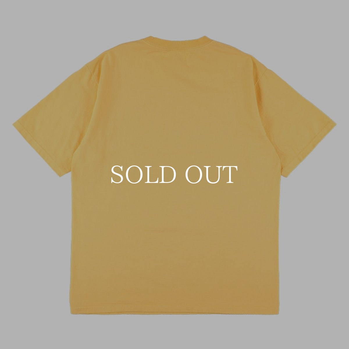 画像5: STANDARD CALIFORNIA  SD Heavyweight Modern Twist Signs Logo T (5)