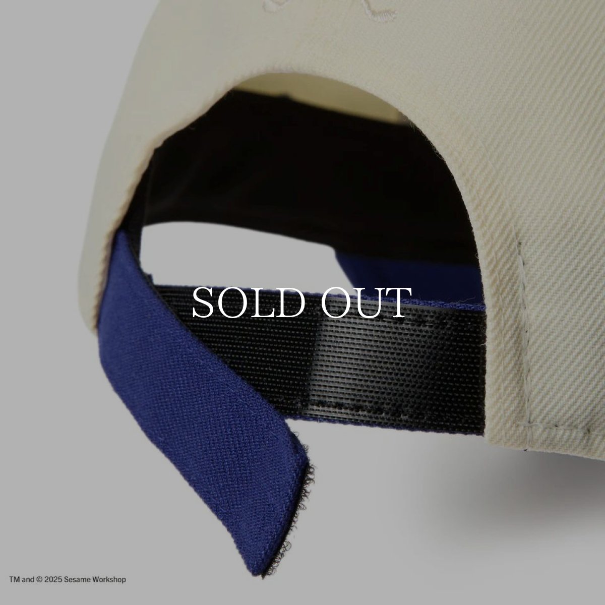 画像9: NEW ERA  9FORTY SESAME STREET セサミストリート Cookie Monster クッキーモンスター クロームホワイト ブルーバイザー | ゴルフ (9)