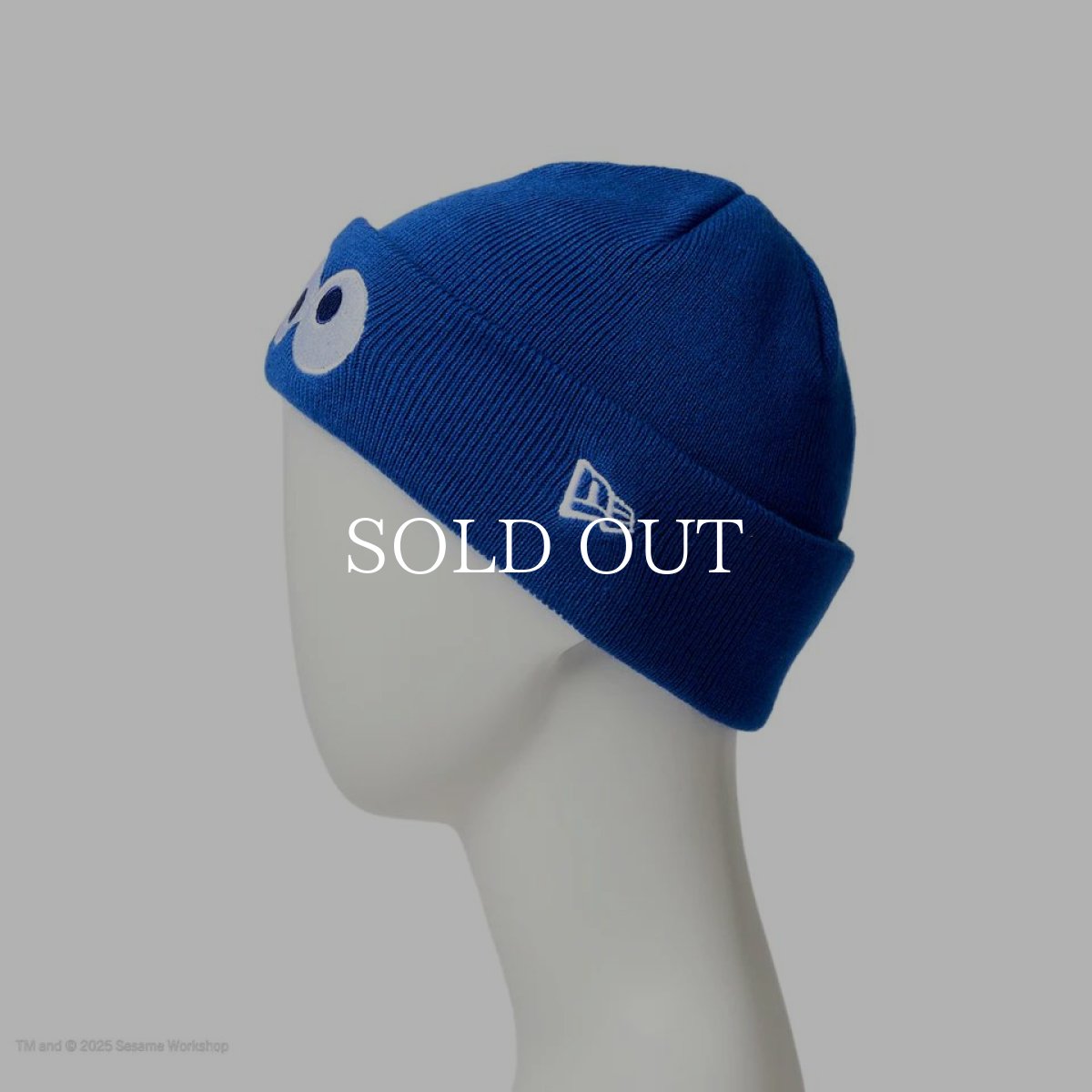 画像5: NEW ERA  キッズ Kid's ベーシック カフニット SESAME STREET セサミストリート Cookie Monster クッキーモンスター ブルー (5)