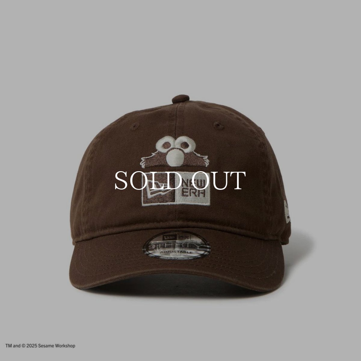 画像2: NEW ERA  9THIRTY SESAME STREET セサミストリート ボックスロゴ Elmo エルモ ウォルナット (2)